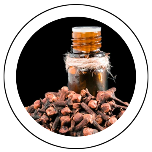 XEMSIS | Ingredient for our psoriasis ointment | CLOVE OIL